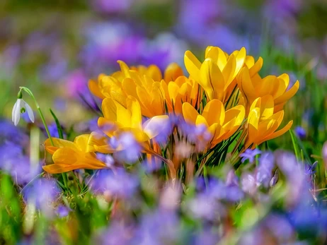 12 марта - какой сегодня праздник, традиции и приметы этого дня, что сегодня нельзя делать, все об этом дне