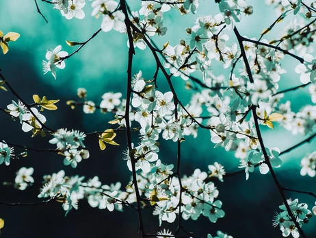 17 марта – какой церковный праздник, что сегодня нельзя делать, традиции и обычаи этого дня