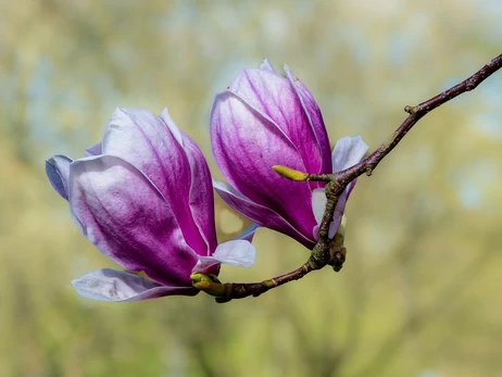 18 березня - яке сьогодні свято, що не можна робити, традиції та прикмети, все про цей день