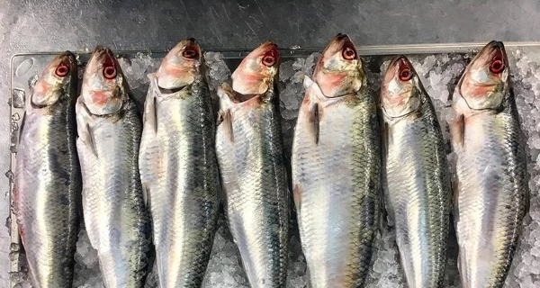 Рыбаки из Вилково: 