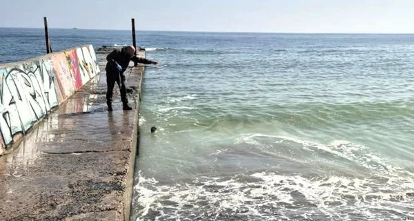 В Одессе зафиксировано загрязнение моря – на воде желтые пятна с запахом подсолнечного масла