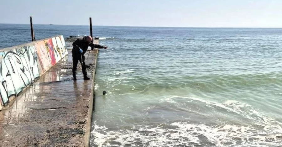 В Одессе зафиксировано загрязнение моря – на воде желтые пятна с запахом подсолнечного масла