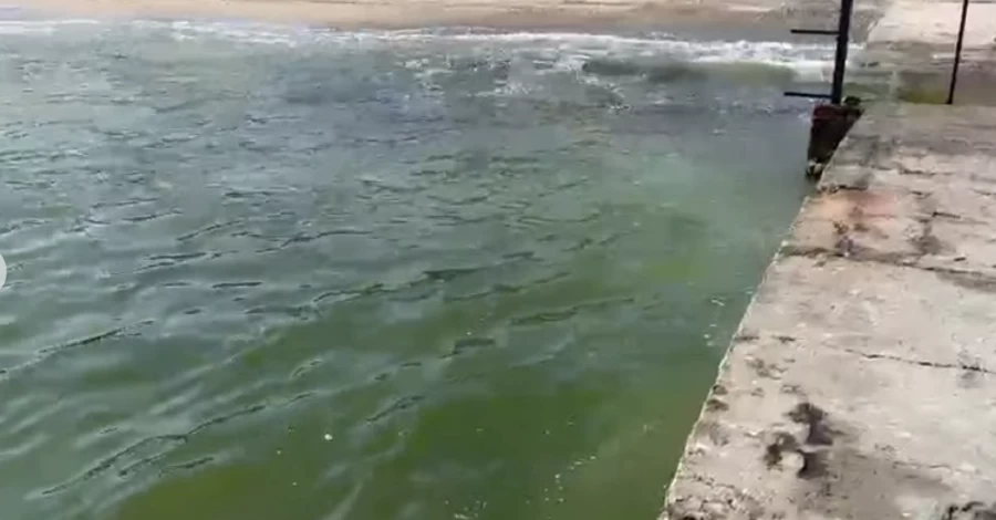 Из-за потепления загрязняющие вещества поднялись со дна, - экологи объяснили происхождение пятен в море возле Одессы