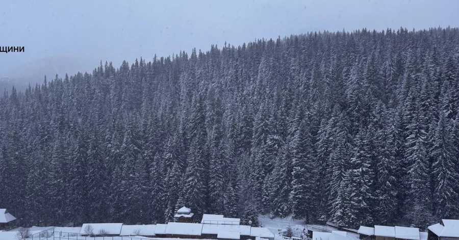 В румунських Карпатах знайшли мертвим 28-річного українця 