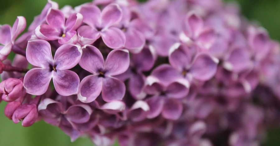 20 марта - День весеннего равноденствия, какой церковный праздник, что сегодня нельзя делать, все об этом дне