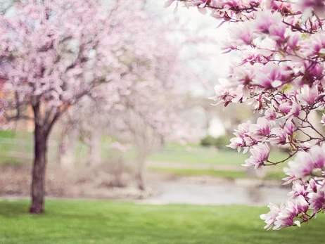 21 марта - какой сегодня церковный праздник, что сегодня нельзя делать, традиции и приметы, все об этом дне