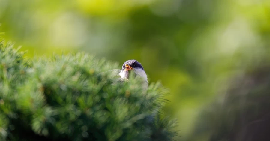 22 марта - какой церковный праздник, традиции и приметы этого дня, что сегодня нельзя делать