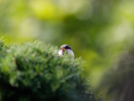 22 березня - яке церквоне свято, традиції та прикмети цього дня, що сьогодні не можна робити