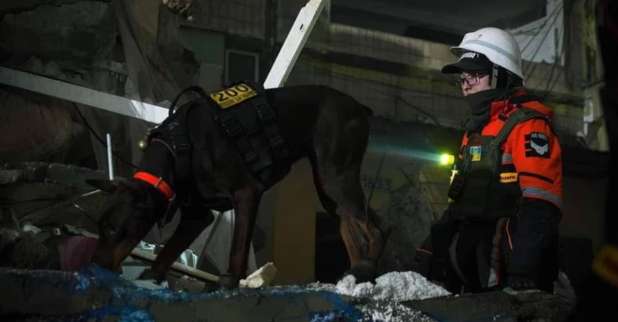 Померла доберман Ханна, яка врятувала понад 170 людей 