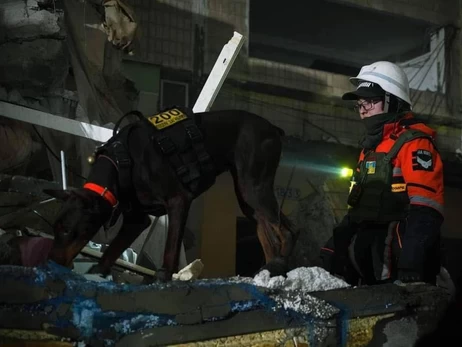 Померла доберман Ханна, яка врятувала понад 170 людей 