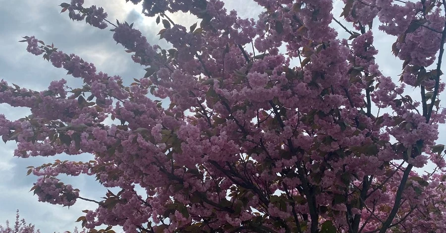 23 березня - яке сьогодні свято, що не можна сьогодні робити, традиції та прикмети все про цей день