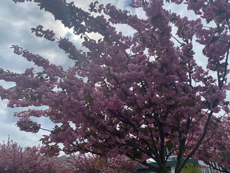 23 марта: какой сегодня праздник, что нельзя делать, традиции и приметы - все об этом дне