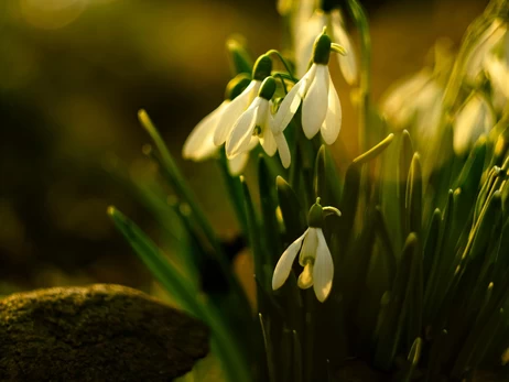 Погода в Украине 25 марта - до +16 градусов, небольшой дождь только на юго-востоке