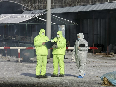 Масова «утилізація» худоби в РФ: фермери втрачають все, але замість бунту скаржаться «царю-батюшці» 