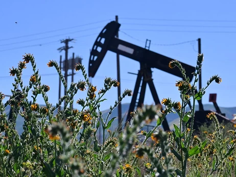 Дефіцит продуктів харчування та відмова від автомобілів: чим обернеться паливна криза