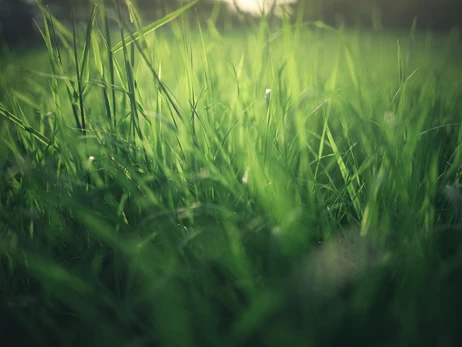 26 марта - какой сегодня праздник, что нельзя сегодня делать, День национальной гвардии, все об этом дне