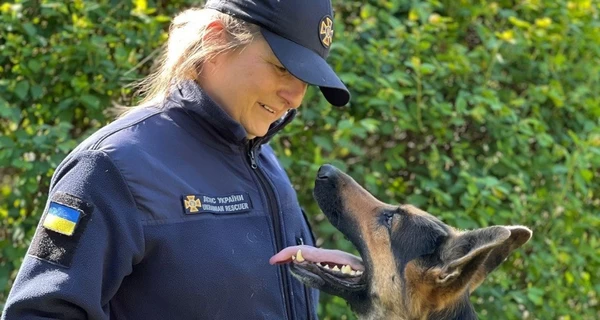 В Кропивницком умер пес-спасатель Дерек – он 12 лет служил в ГСЧС