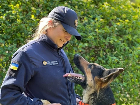 В Кропивницком умер пес-спасатель Дерек – он 12 лет служил в ГСЧС