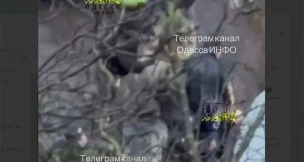 В Одессе мужчина ранил ножом работника ТЦК, тот применил оружие