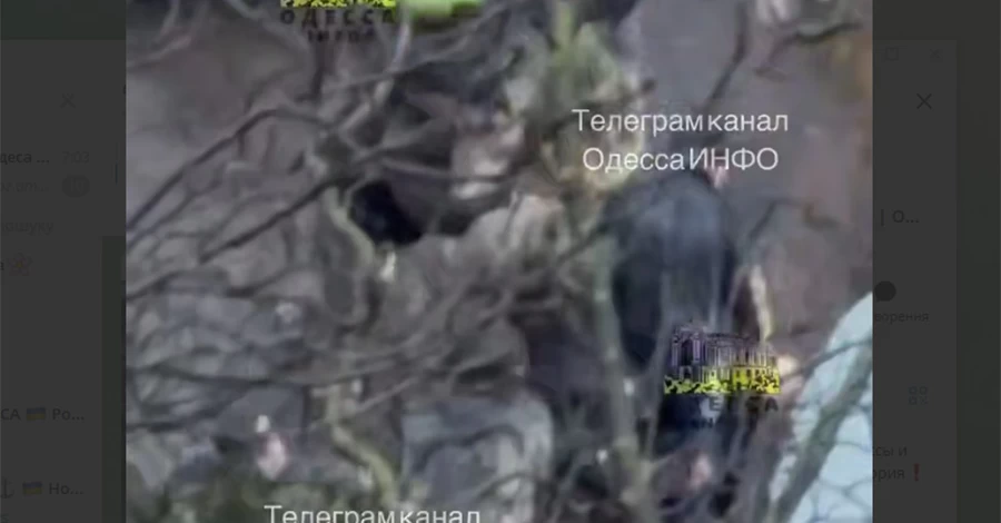 В Одесі чоловік поранив ножем працівника ТЦК, той застосував зброю