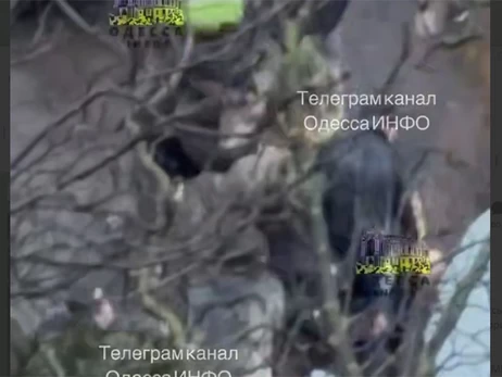 В Одесі чоловік поранив ножем працівника ТЦК, той застосував зброю