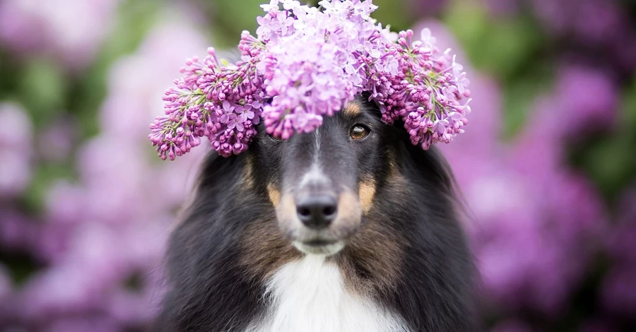 2 апреля – какой сегодня праздник, церковный праздник сегодня, что нельзя делать, все об этом дне