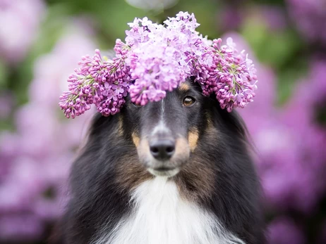 2 апреля – какой сегодня праздник, церковный праздник сегодня, что нельзя делать, все об этом дне