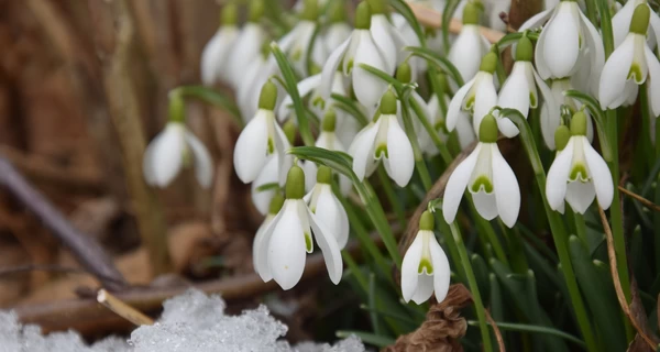 Березень у Києві встановив унікальний рекорд - випало лише 3% опадів від норми