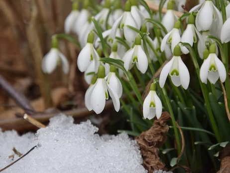 Март в Киеве установил уникальный рекорд - выпало всего 3% осадков от нормы
