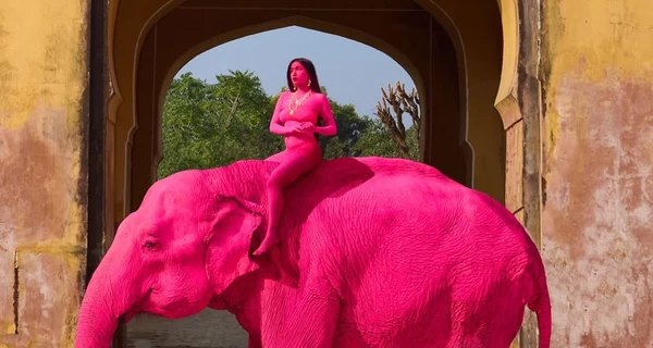 Скандал в Індії: росіянка пофарбувала слона у рожевий для фотосесії — невдовзі він помер