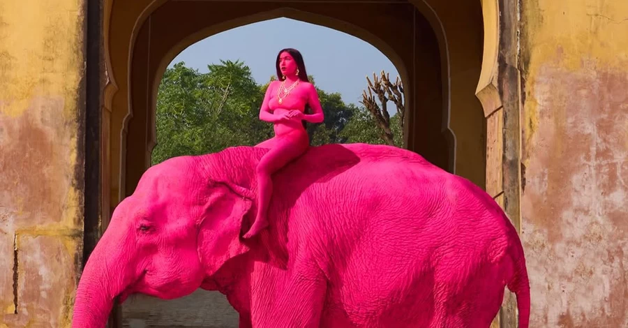 Скандал в Індії: росіянка пофарбувала слона у рожевий для фотосесії — невдовзі він помер