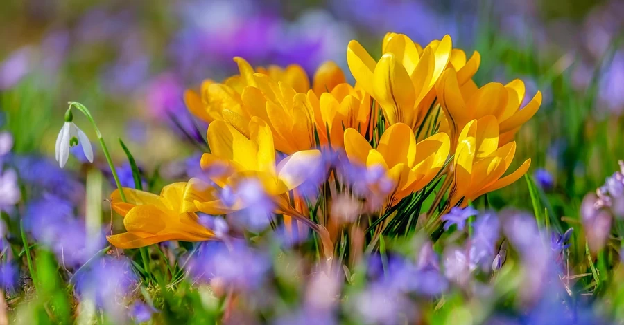 3 апреля – какой сегодня праздник, что нельзя делать, традиции и приметы на этот день