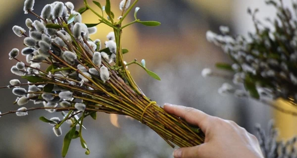 5 квітня - Вербна неділя, що символізує це свято, що сьогодні не можна робити, традиції і прикмети цього дня