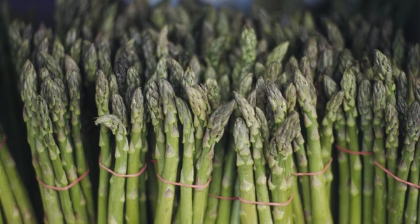 500 гривен за пучок: почему спаржа держится в тренде и как ее выращивают фермеры