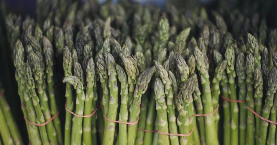 500 гривен за пучок: почему спаржа держится в тренде и как ее выращивают фермеры