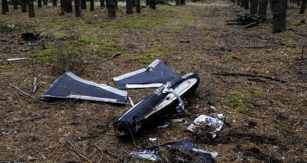 Россияне атаковали 119 дронами с 7 направлений, силы ПВО обезвредили 99 беспилотников 