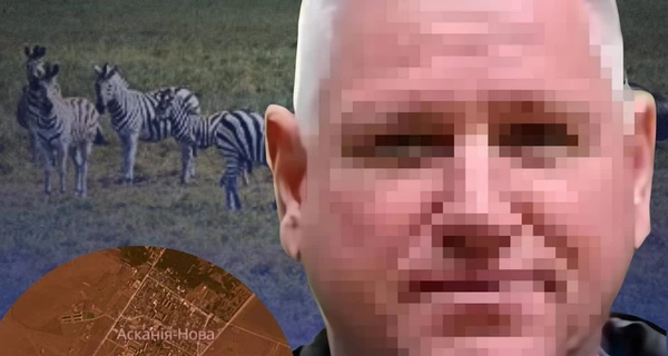 Псевдодиректора 