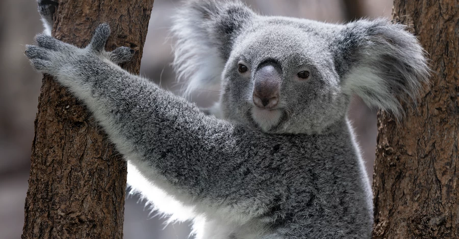 15 апреля - какой сегодня праздник, что нельзя делать, традиции, приметы, все об этом дне