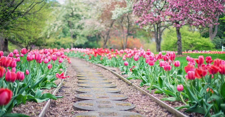 Погода в Україні 16 квітня - буде тепло, сонячно та сухо