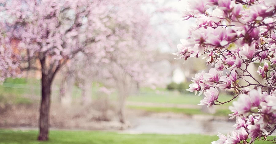17 квітня - яке сьогодні свято, що не можна робити, традиції та прикмети сьогодні