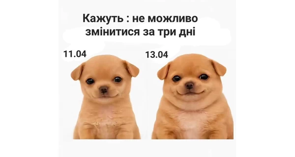 Анекдоты и мемы недели: сезон «Худеем к лету» - официально открыт