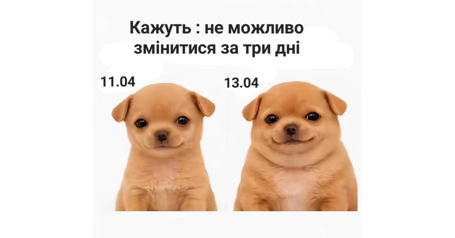 Анекдоты и мемы недели: сезон «Худеем к лету» - официально открыт