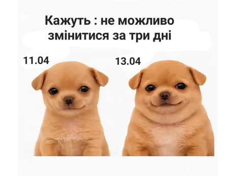 Анекдоти та меми тижня: сезон «Худнемо до літа» - офіційно відкрито