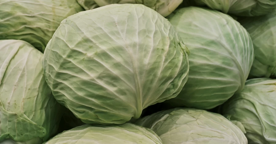 Капустный алфавит: вся польза и вред популярного овоща - советы диетолога