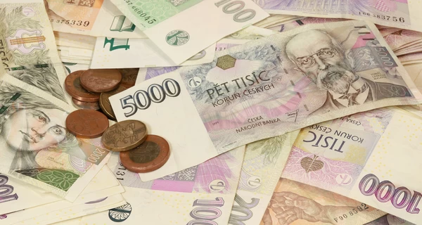 У Чехії викрили й засудили подружжя з України за шахрайство з гуманітарними виплатами