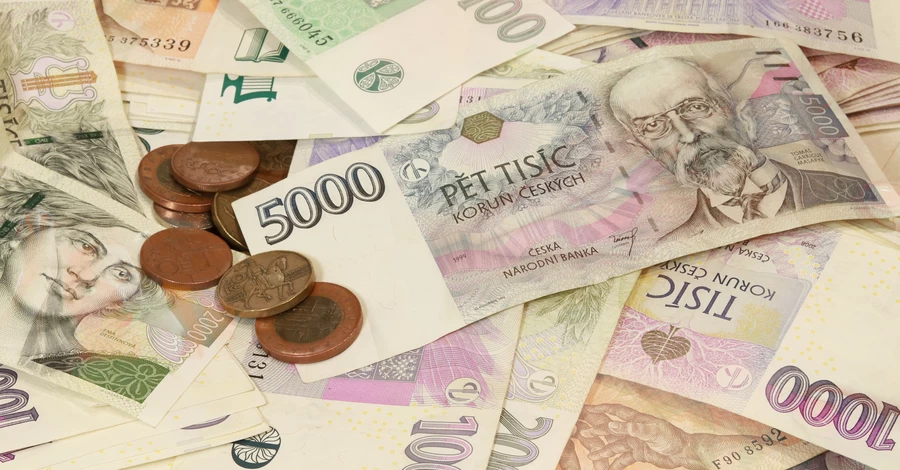 В Чехии осудили супругов из Украины за мошенничество с гуманитарными выплатами