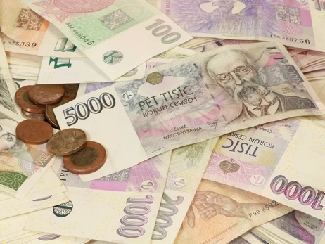 В Чехии осудили супругов из Украины за мошенничество с гуманитарными выплатами