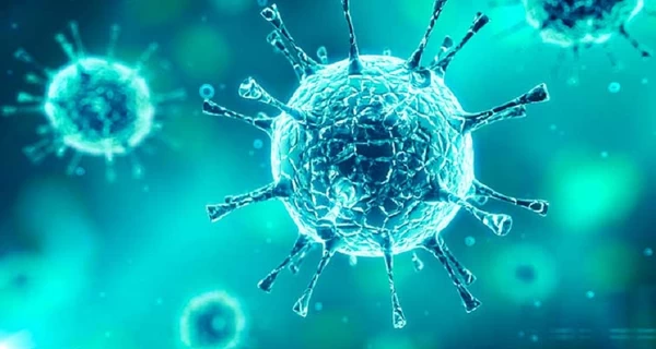 В Украине зафиксирован первый случай субварианта COVID-19 «Цикада»