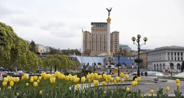В Киеве началось цветение тюльпанов, подаренных Нидерландами