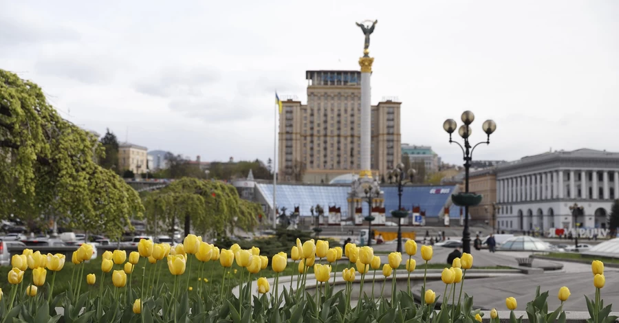 В Киеве началось цветение тюльпанов, подаренных Нидерландами